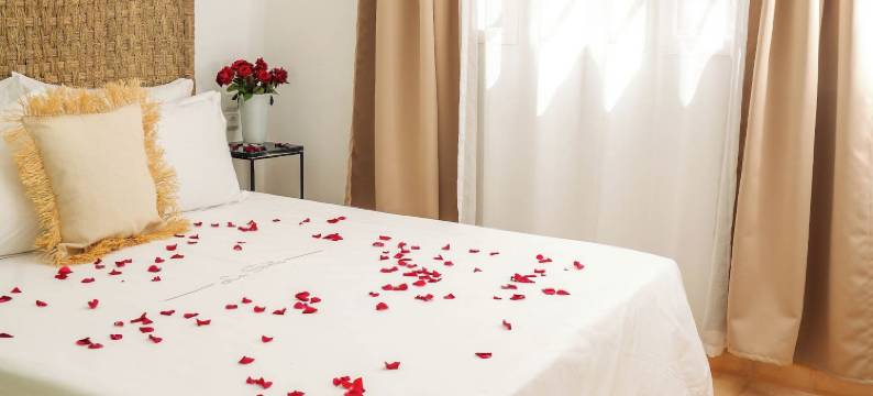 萨基亚塔拉曼祖(Sakia Talamanzou)图片