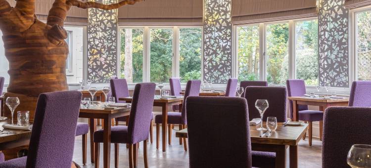 温室酒店(The Green House)图片