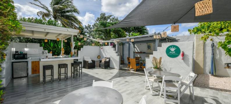 ALOE 民宿(Aloe B&B)图片