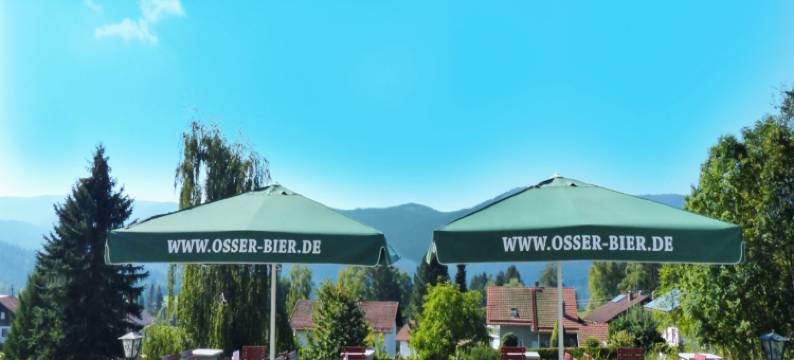 林德酒店(GarniHotel Zur Linde - Bayerischer Wald - Inklusiv AktivCard - Kostenloser Parkplatz)图片