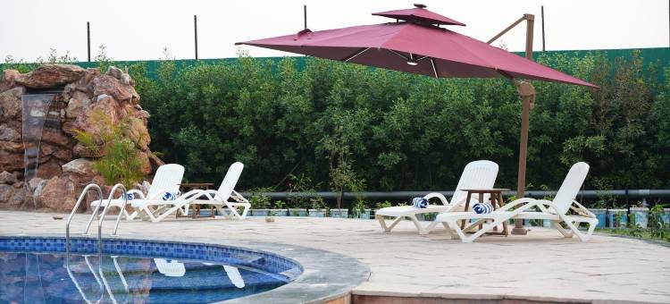 德夫沙丛林度假村(Devsha Jungle Resort)图片