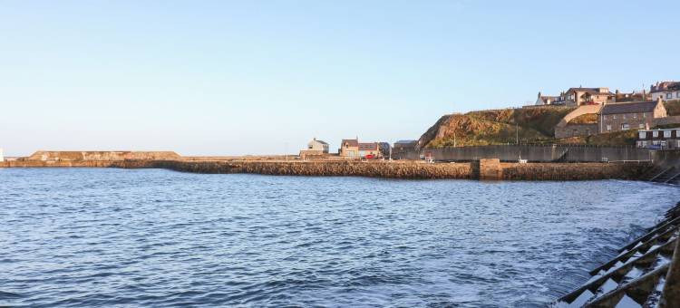 171 海滨小镇(171 Seatown)图片