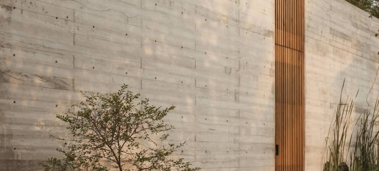 月牙(Lunaya)图片