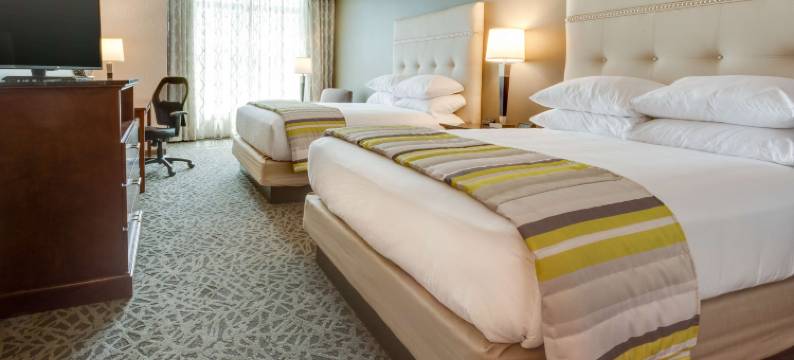 匹兹堡机场-赛特勒斯里奇德鲁里套房酒店(Drury Inn & Suites Pittsburgh Airport Settlers Ridge)图片