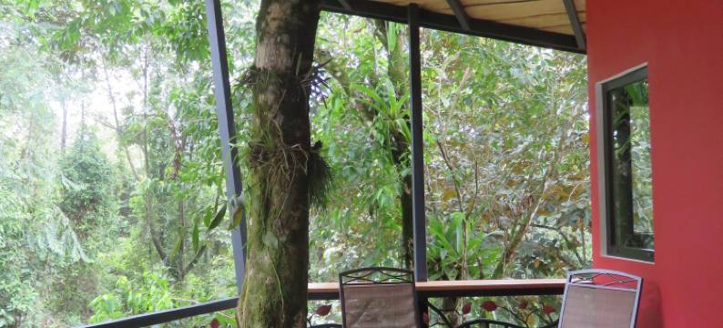 帕玛士绿洲酒店(Oasis de las Palmas)图片