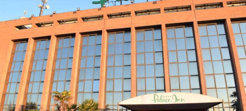 罗马菲安诺皇宫酒店(Palace Inn Rome Fiano)图片