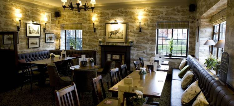 布罗多克(The Broadoak)图片