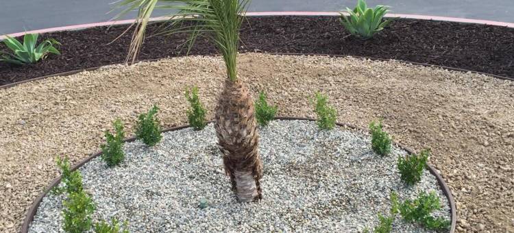 哈希恩达汽车旅馆(Hacienda Motel)图片