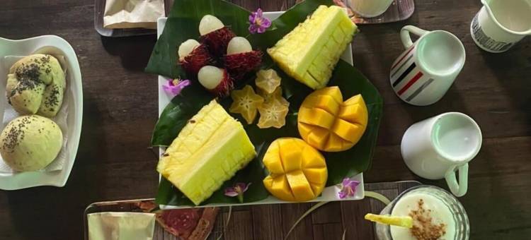 绿色丛林屋(Hotel Boutique the Green Jungle House)图片