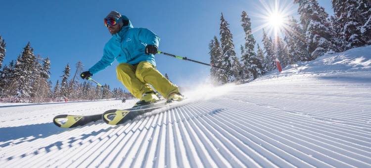 南洋杉Spa酒店(Araucaria Hotel & Spa)图片