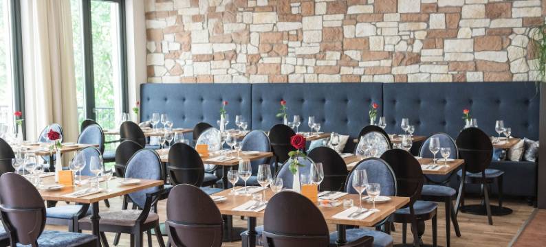 施莱翰帕克酒店(Parkhotel Schillerhain)图片