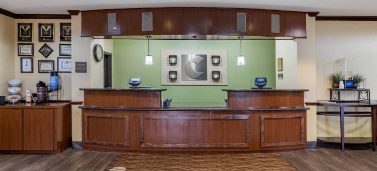 纳瓦索塔舒适套房酒店(Comfort Inn & Suites Navasota)图片