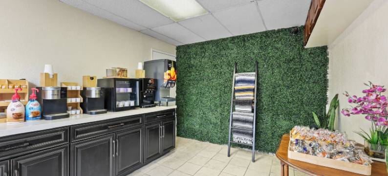 卡塔莉娜庭院套房酒店(Catalina Courtyard Suites)图片