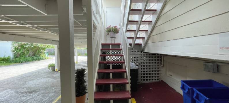 北极狐酒店(Arctic Fox Inn)图片