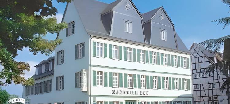 纳索尔霍夫酒店(Hotel Nassauer Hof)图片