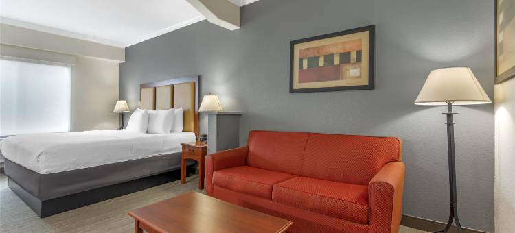 瓦克沙哈契贝斯特韦斯特优质套房酒店(Best Western Plus Waxahachie Inn  Suites)图片