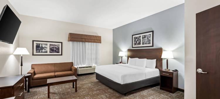 拉夫金美茵斯坦套房酒店(MainStay Suites Lufkin)图片