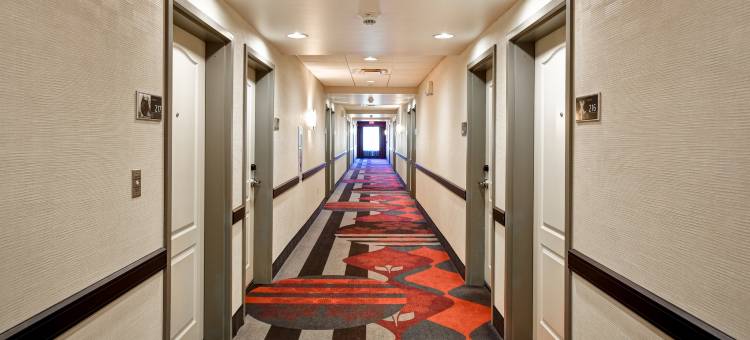 希尔顿欢朋酒店-米德尔敦(Hampton Inn Middletown)图片