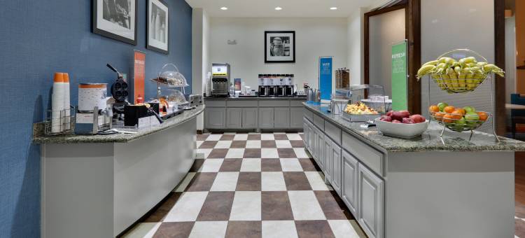 柴德里斯欢朋套房酒店(Hampton Inn & Suites Childress)图片