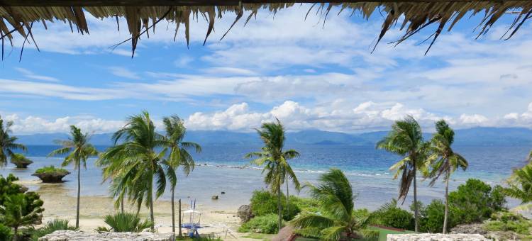 野兰花度假村(The Wild Orchid Resort - Moalboal)图片