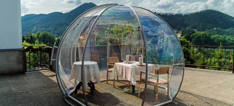 塞默灵体育酒店(Sporthotel am Semmering)图片