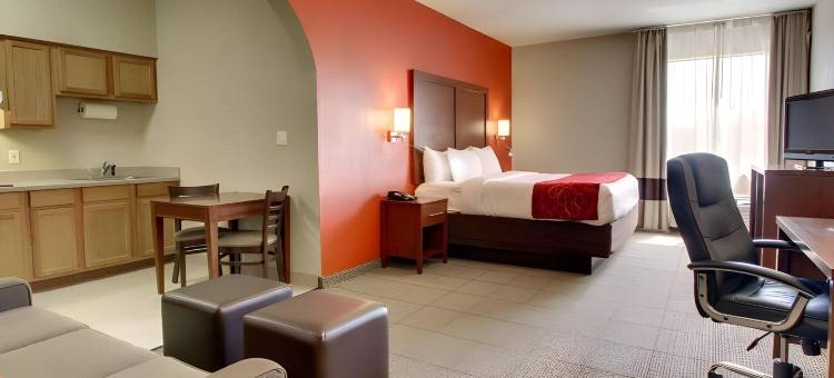 舒适套房酒店-泰勒南(Comfort Suites Tyler South)图片