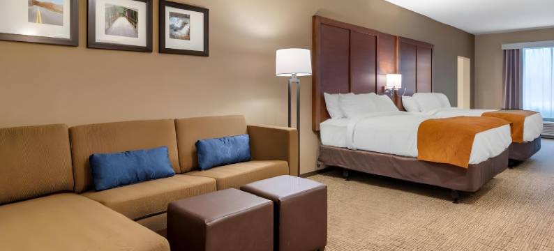 舒适套房酒店(Comfort Suites)图片
