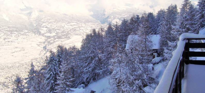 Apartment with balcony views of  Nendaz图片