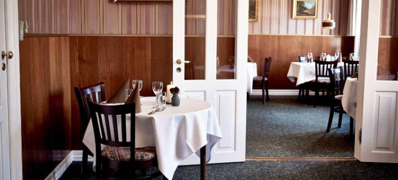 凤凰酒店(Hotel Phønix)图片