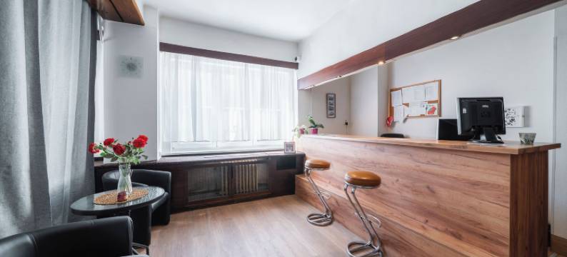 霍默斯拉尼旅馆(Penzion Homér Slaný)图片