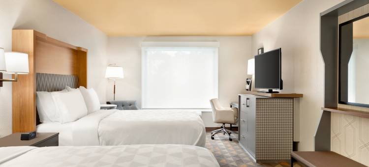 Holiday Inn 休斯顿洲际ARPT(Holiday Inn Houston-InterContinental Arpt)图片