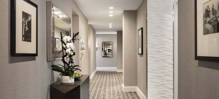 纽约特朗普国际酒店大厦(Trump International Hotel & Tower® New York)图片