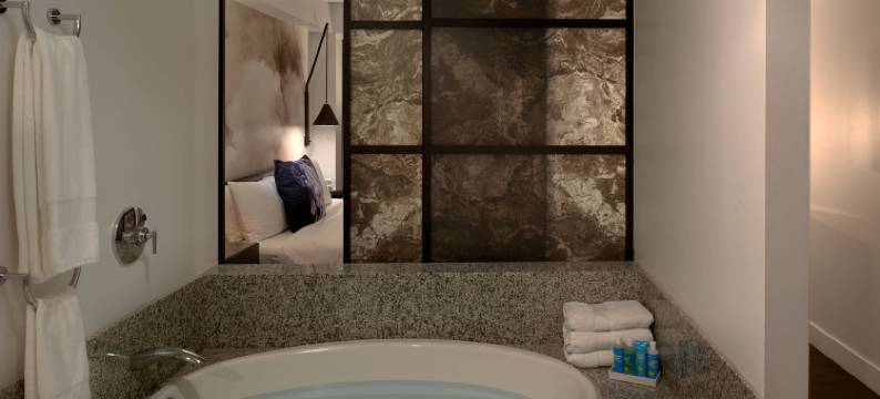 波士顿W酒店(W Boston)图片