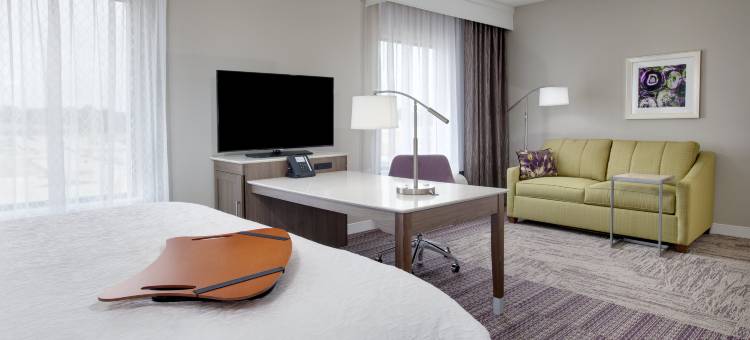 泰勒南欢朋套房酒店(Hampton Inn & Suites Tyler-South)图片