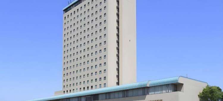 滨松协和酒店(Hotel Concorde Hamamatsu)图片