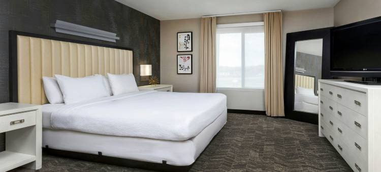 苏福尔斯万豪SpringHill酒店(SpringHill Suites Sioux Falls)图片