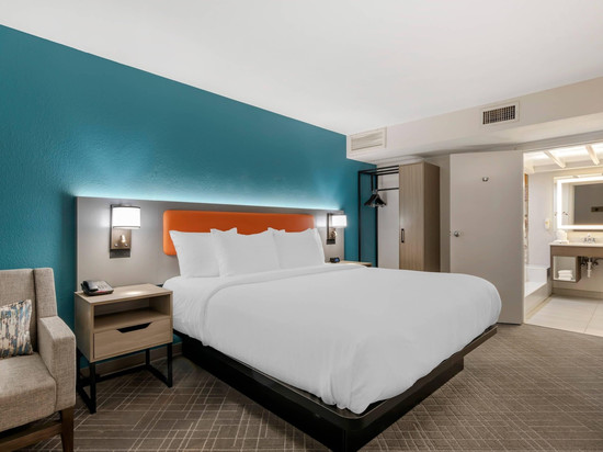 克莱门森舒适套房酒店-大学区