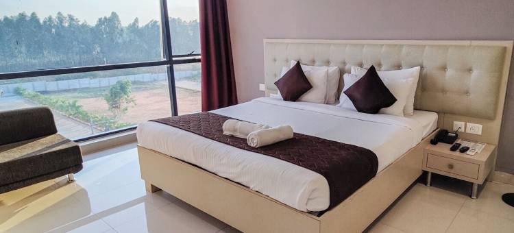 NAVA - 白雾(Nava - Whitemist)图片