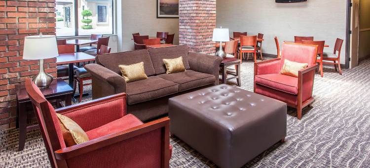 法伦内瓦尔空军基地附近舒适套房酒店(Comfort Inn & Suites Near Fallon Naval Air Station)图片