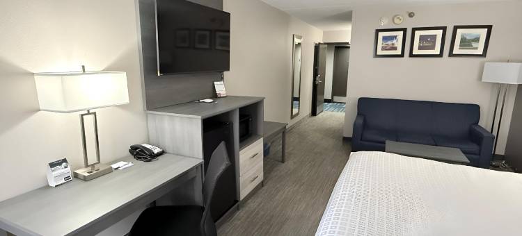 拉斐特呗盟套房酒店(Baymont Inn & Suites by Wyndham Lafayette / Purdue Area)图片