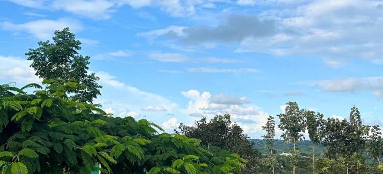 JUNGLE FARMS BY MAARK INN图片