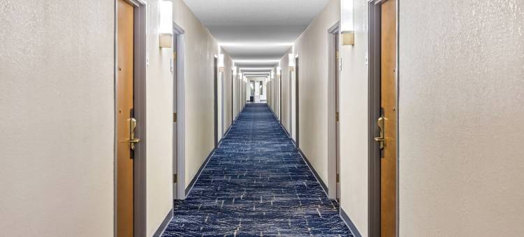 沃尔特伯勒I-95舒适套房酒店(Comfort Inn & Suites Walterboro I-95)图片