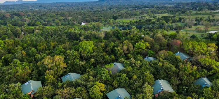西吉里亚福雷斯特埃奇由Marino Leisure管理(Sigiriya Forest Edge by Marino Leisure)图片