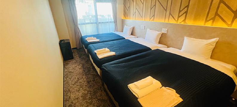 利夫马克斯经济型酒店-名古屋店(HOTEL LiVEMAX BUDGET Nagoya)图片