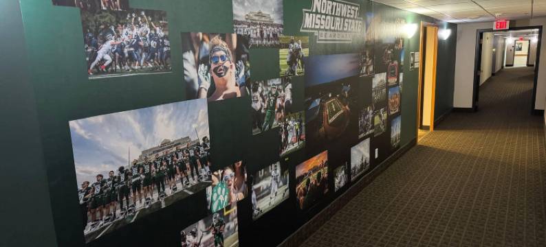 格林豪泰玛丽维尔熊狸套房酒店(GreenTree Inn  Maryville - Bearcat Inn & Suites)图片