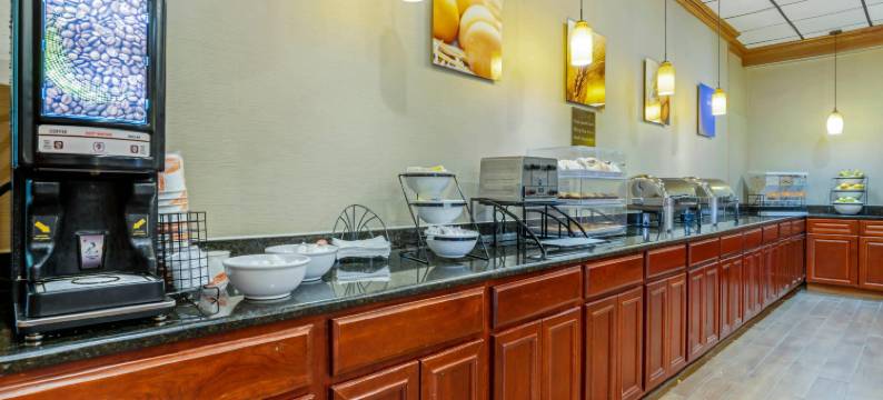 舒适套房酒店(Comfort Inn & Suites)图片