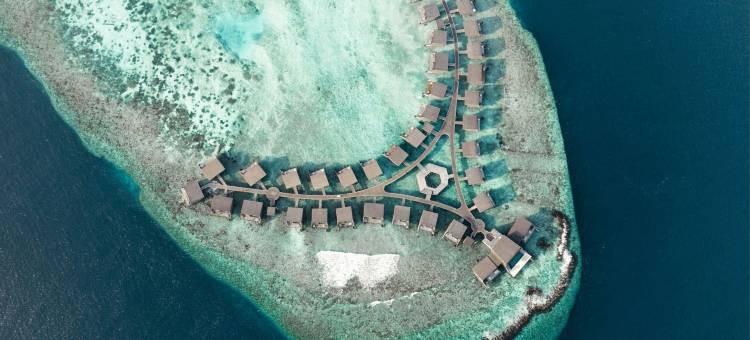 马尔代夫沃木里瑞吉度假酒店(The St. Regis Maldives Vommuli Resort)图片