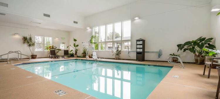 舒适酒店-阿克塔-洪保德区(Comfort Inn Arcata)图片