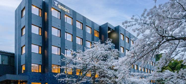 HOTEL Tsmart图片