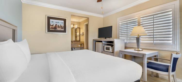 莫罗贝贸易风贝斯特韦斯特酒店(Best Western Tradewinds)图片